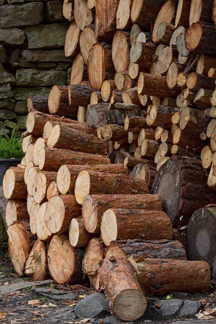 Production de bois de chauffage, Issoire